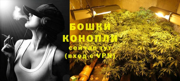 кокс Белокуриха