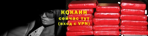 дмт Богородск