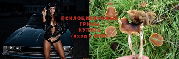 меф VHQ Богданович