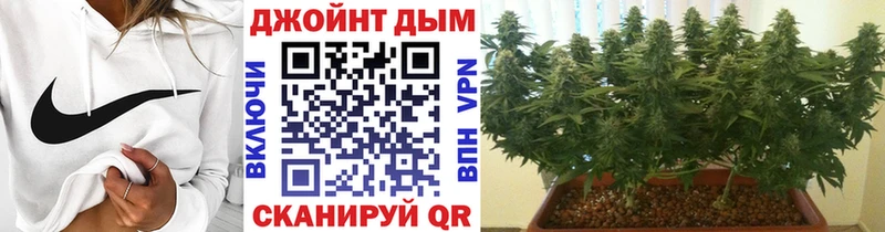 Шишки марихуана ГИДРОПОН Карпинск