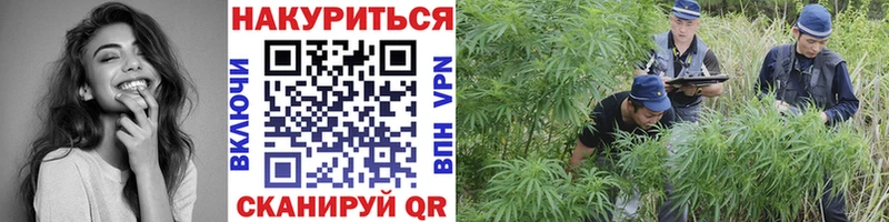 дарнет шоп  ссылка на мегу зеркало  Канабис сатива  Карпинск 